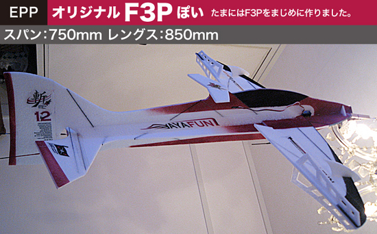 F3P-01.jpg